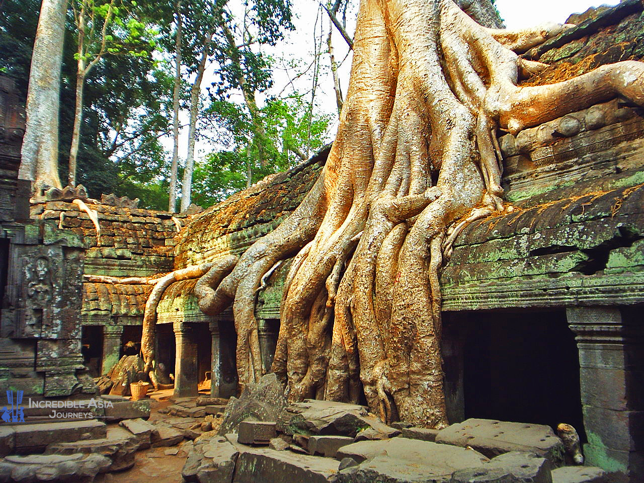 Ta Prohm Temple